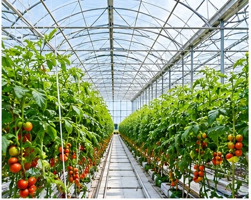 Agriculture & Greenhouses